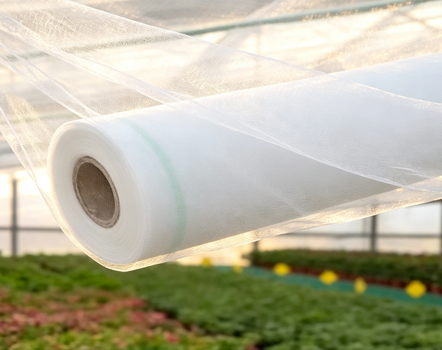 Manager of a Large Domestic Fruit & Vegetable Production Base